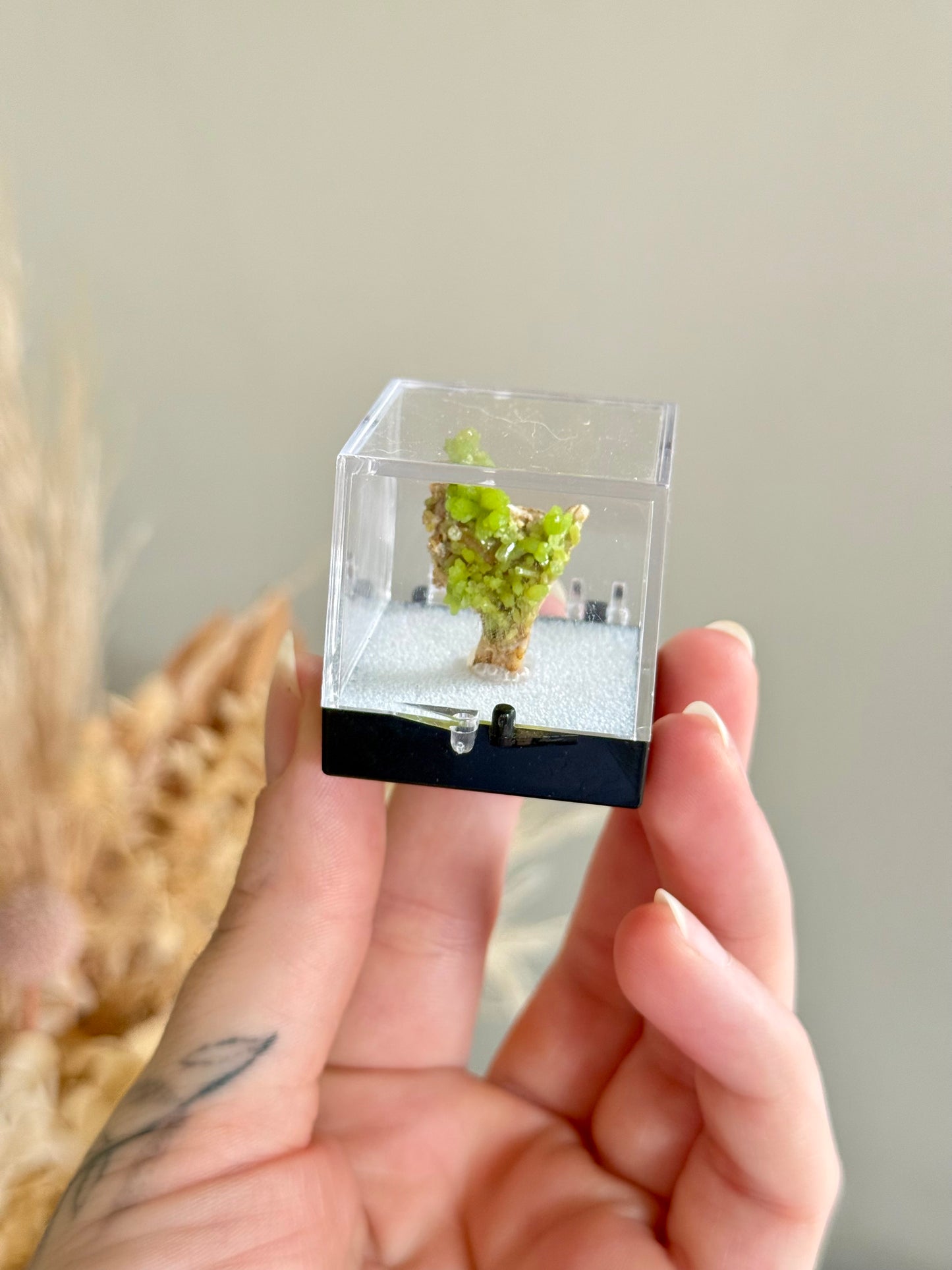 Pyromorphite Specimen